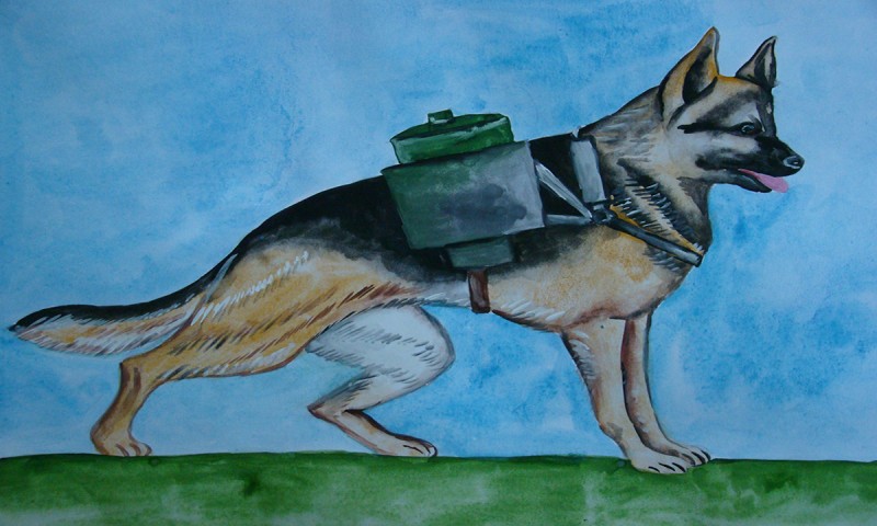 Животные в великой отечественной войне рисунок. Военная собака. Животные на войне. Военная собака рисунок. Собака санитар.