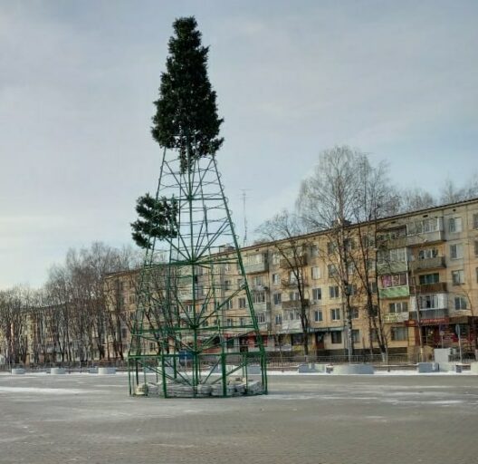 В Тверской области «полуголая» елка стала поводом для фейка
