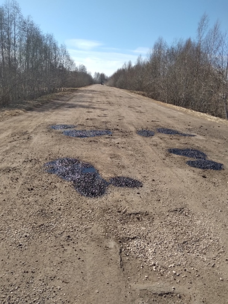 В Тверской области ямочный ремонт грунтовой дороги шокировал жителей