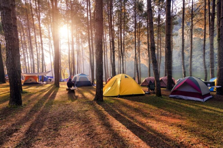В Тверской области создадут палаточный лагерь