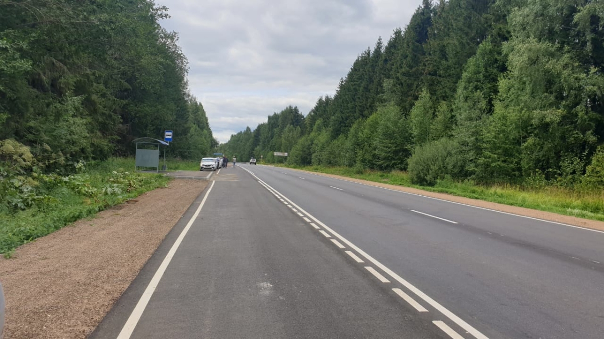 В Тверской области региональную дорогу из Осташкова в Ржев отремонтировали досрочно