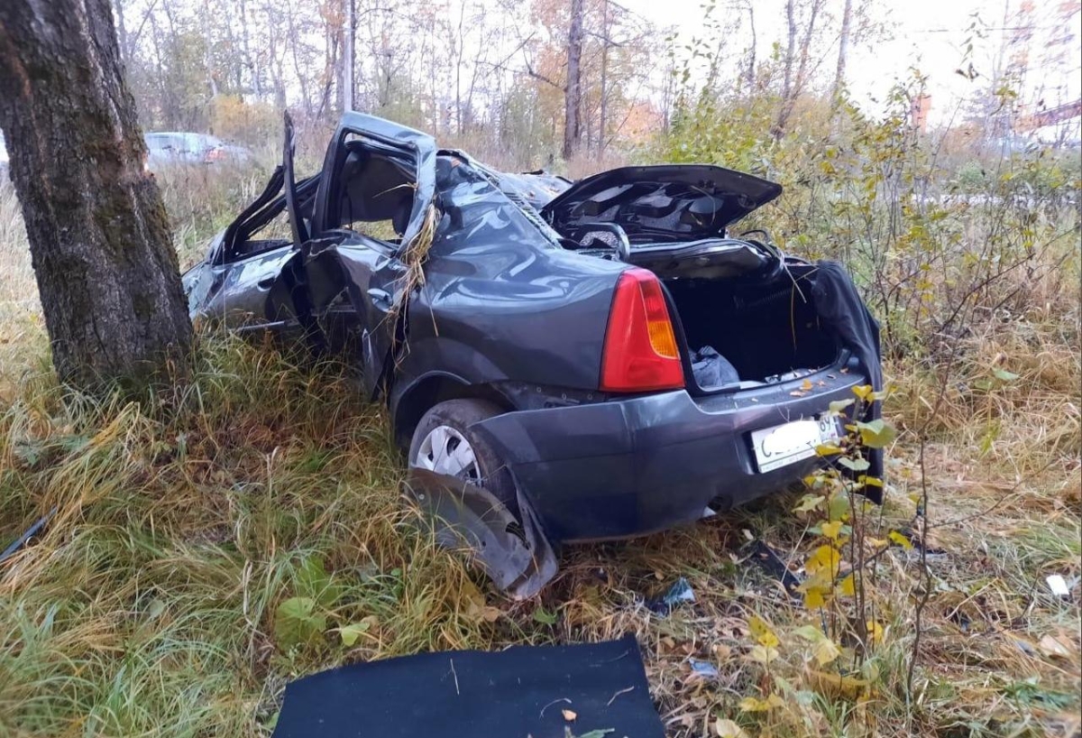 В Тверской области мужчина не справился с управлением авто и влетел в дерево
