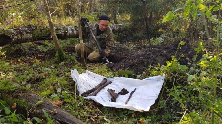 В Ржевском районе нашли останки пяти погибших