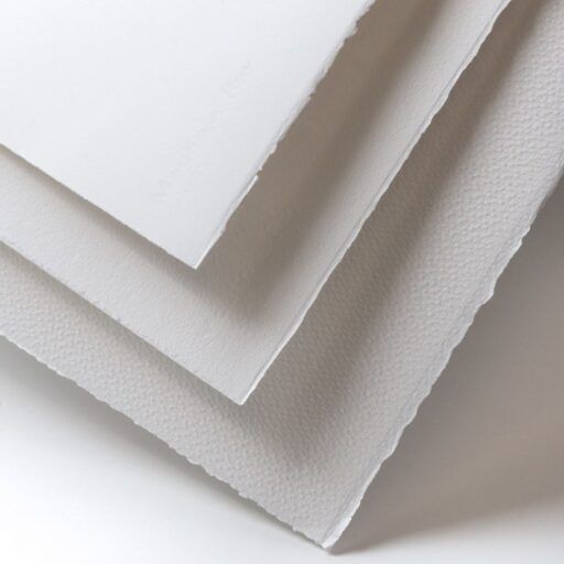 Тверская область поддержит проект по созданию экологически чистой бумажной упаковки
