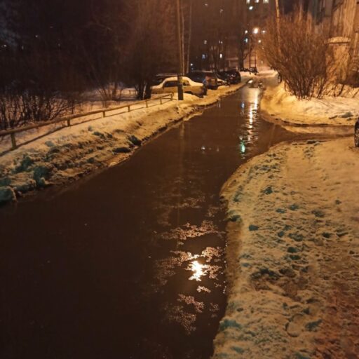 В Твери жители предлагают поучаствовать в заплыве в 50-метровой луже