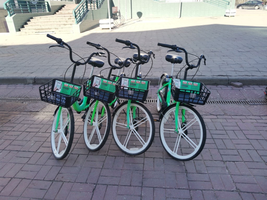В Тверь вернулся прокат велосипедов «Зеленый город»