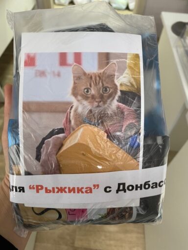 Тверитяне помогли коту, приехавшему с Украины