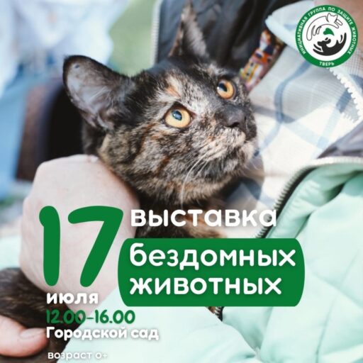 В Твери пройдёт выставка бездомных животных