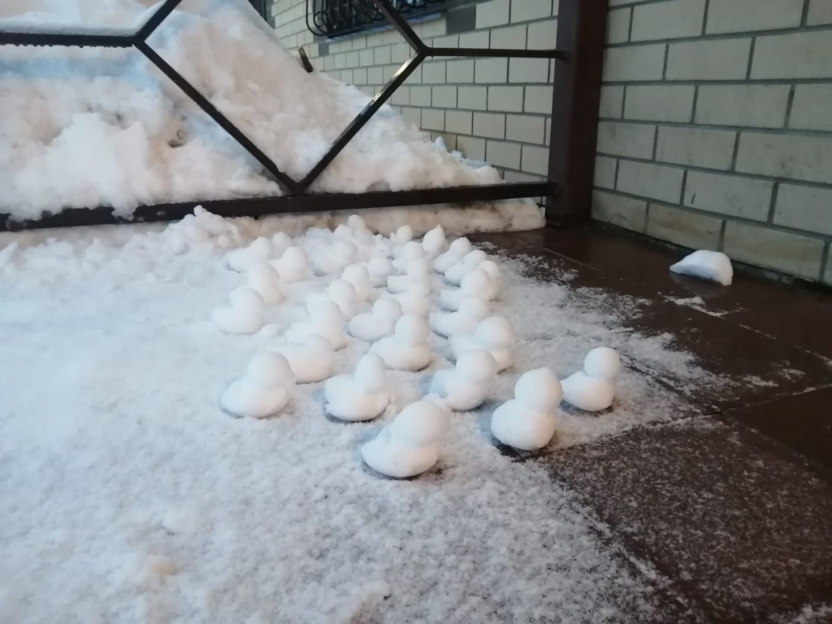 У магазина под Тверью появились необычные снежные фигуры