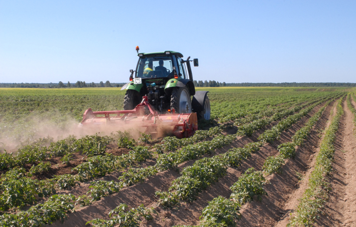 В Тверской области увеличивают поддержку местных сельхозпроизводителей