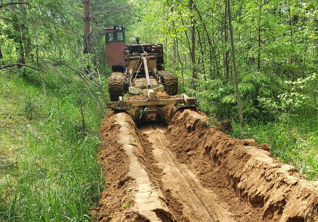 В Тверской области в 2023 году для охраны лесов от пожаров проложено 35 км дорог
