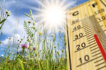 Жителей Тверской области предупредили об аномальной жаре