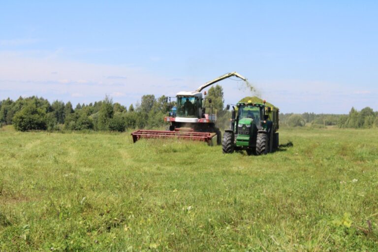 В Тверской области план по заготовке кормов выполнен на 72,5%