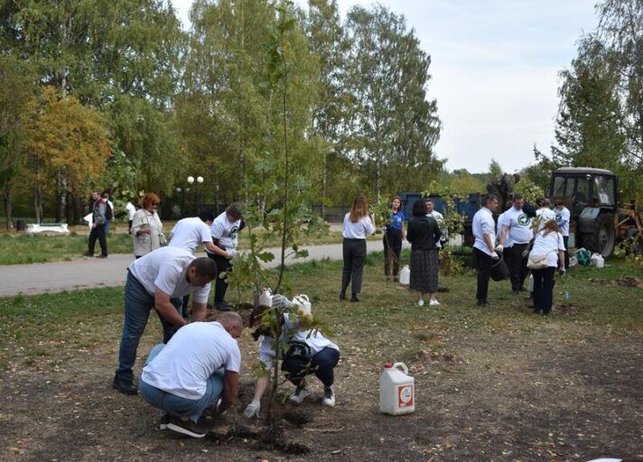 В столице Верхневолжья высадили саженцы молодых дубов