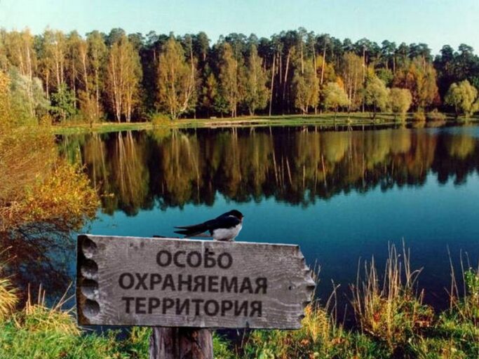 В Тверской области продолжается работа по утверждению границ особо охраняемых природных территорий