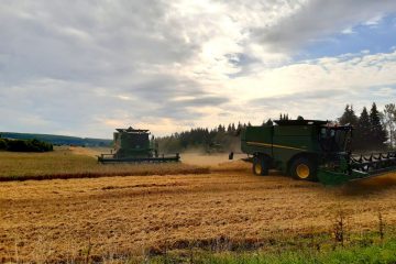 Первый в России агродиктант напишут более миллиона человек