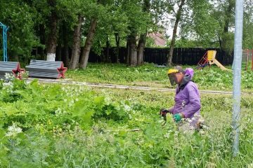 В Елисеевском парке Победы села Васильевское провели благоустройство