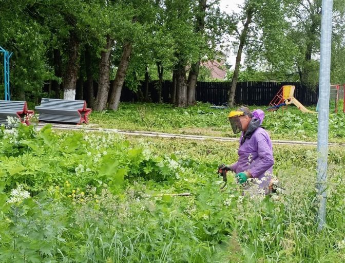 В Елисеевском парке Победы села Васильевское провели благоустройство