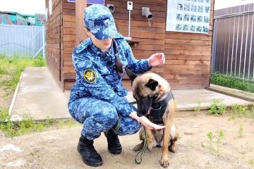 Кинологи УФСИН отметили профессиональный праздник