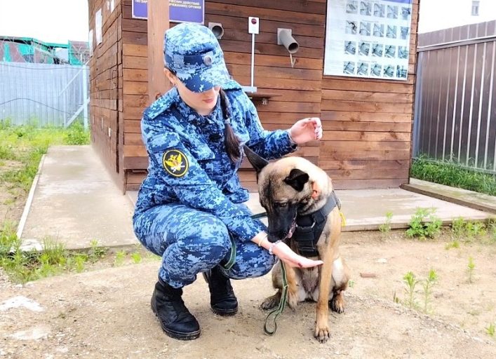 Кинологи УФСИН отметили профессиональный праздник