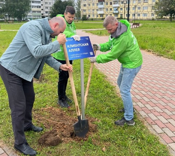 В Рязаново под Тверью высадили уникальную аллею